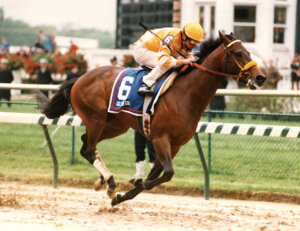 Go For Gin wins the 1994 Kentucky Derby. (Courtesy of the Kentucky Derby Museum)