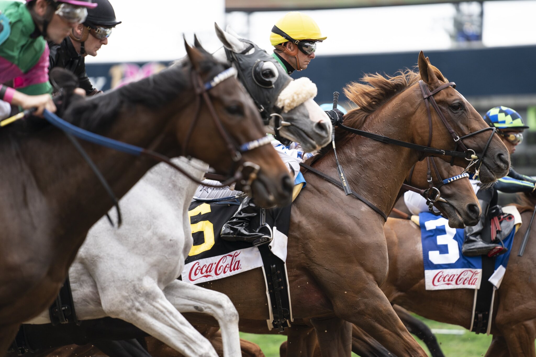 Prep Races Kentucky Derby