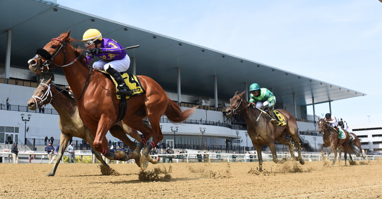 Champagne | Races | Kentucky Derby