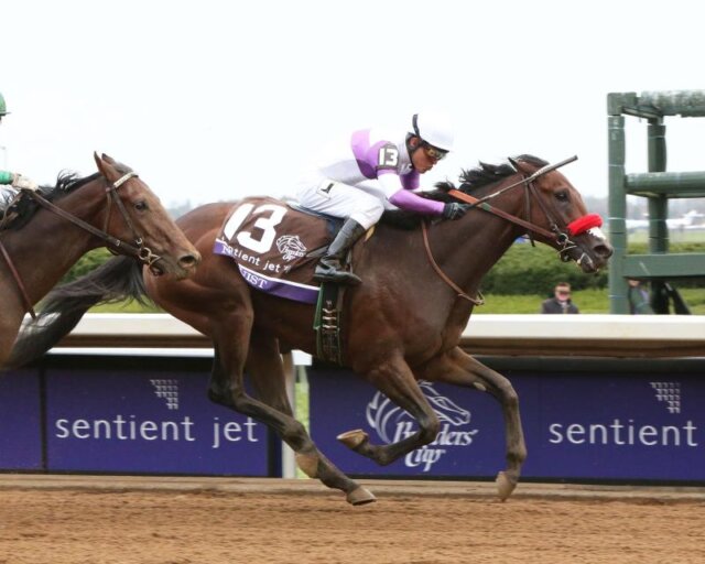 Leading Kentucky Derby contenders Mohaymen & Nyquist square off in