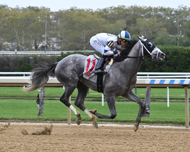 Derby Horses | Kentucky Derby