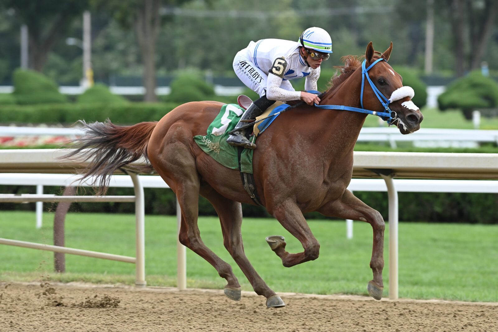 Study Guide: 2023 Kentucky Jockey Club Stakes | News | Kentucky Derby