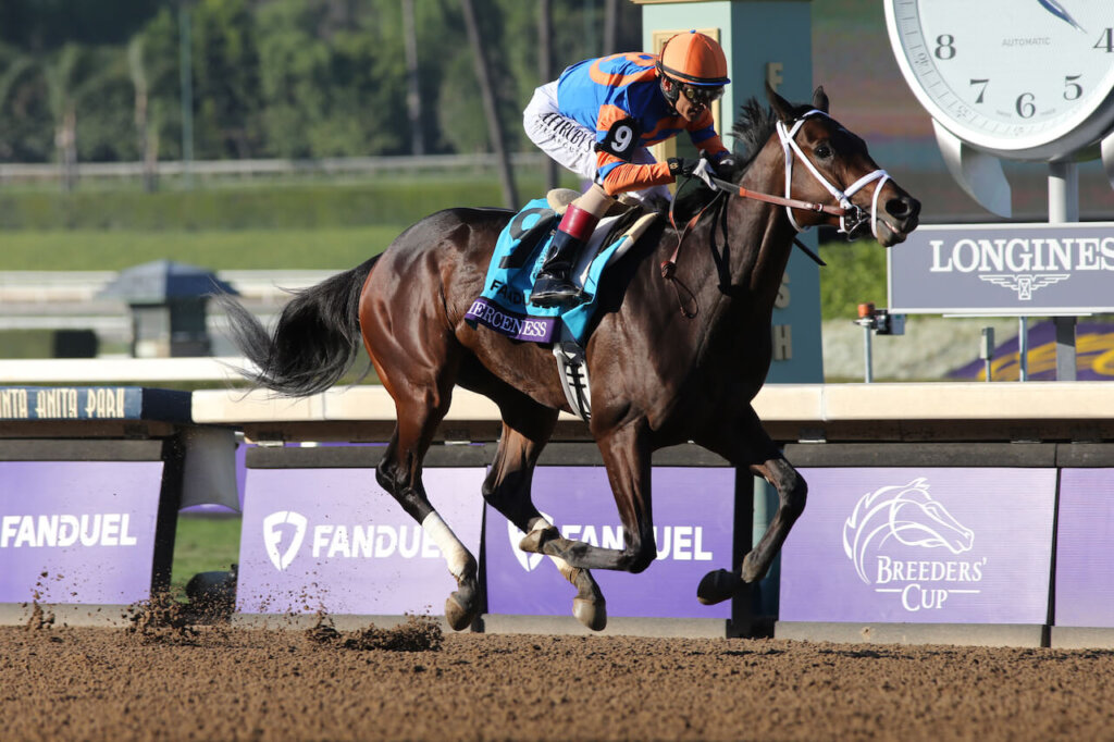 Fierceness Dominates In Breeders’ Cup Juvenile, Just F Y I Hangs On In ...