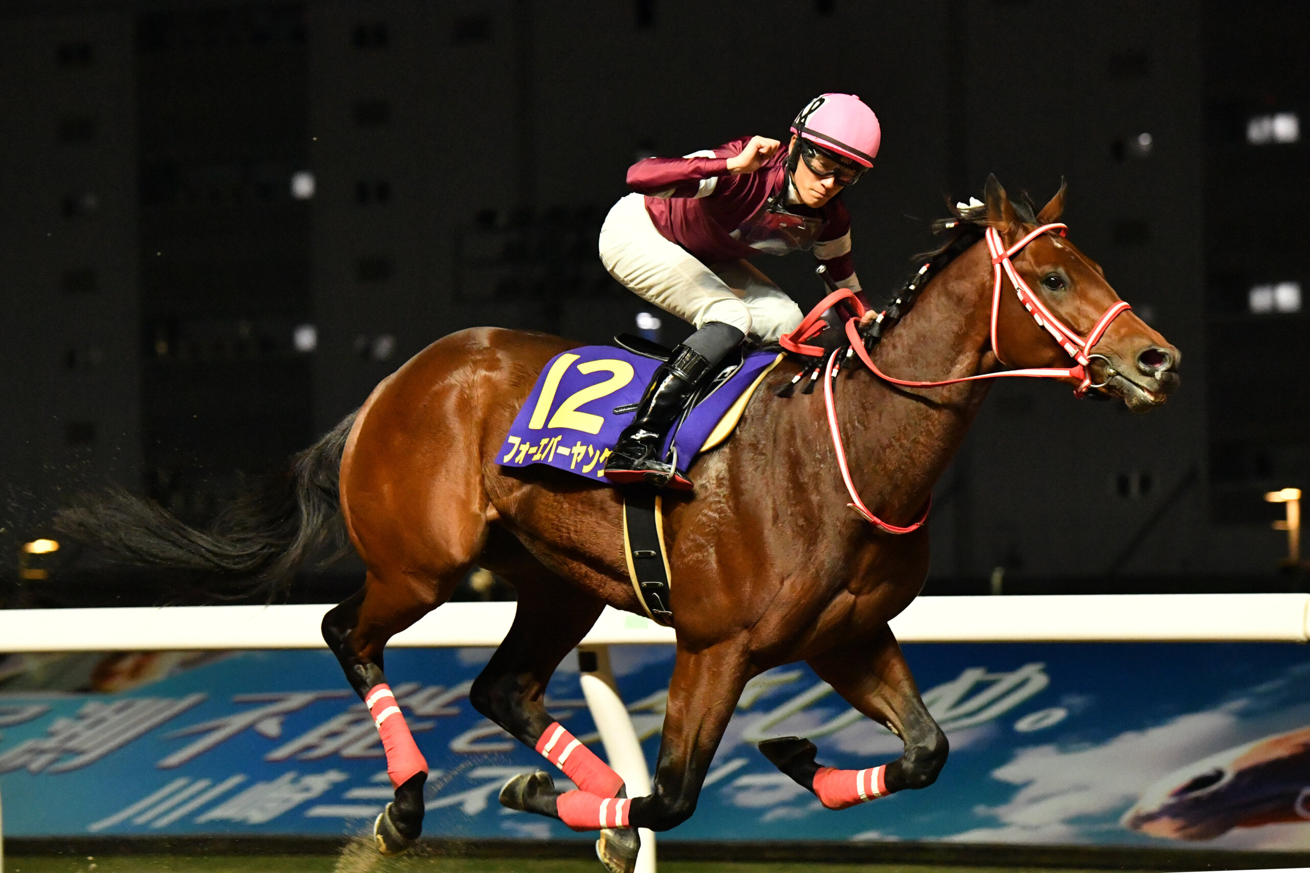 Forever Young (JPN) Horses Kentucky Derby