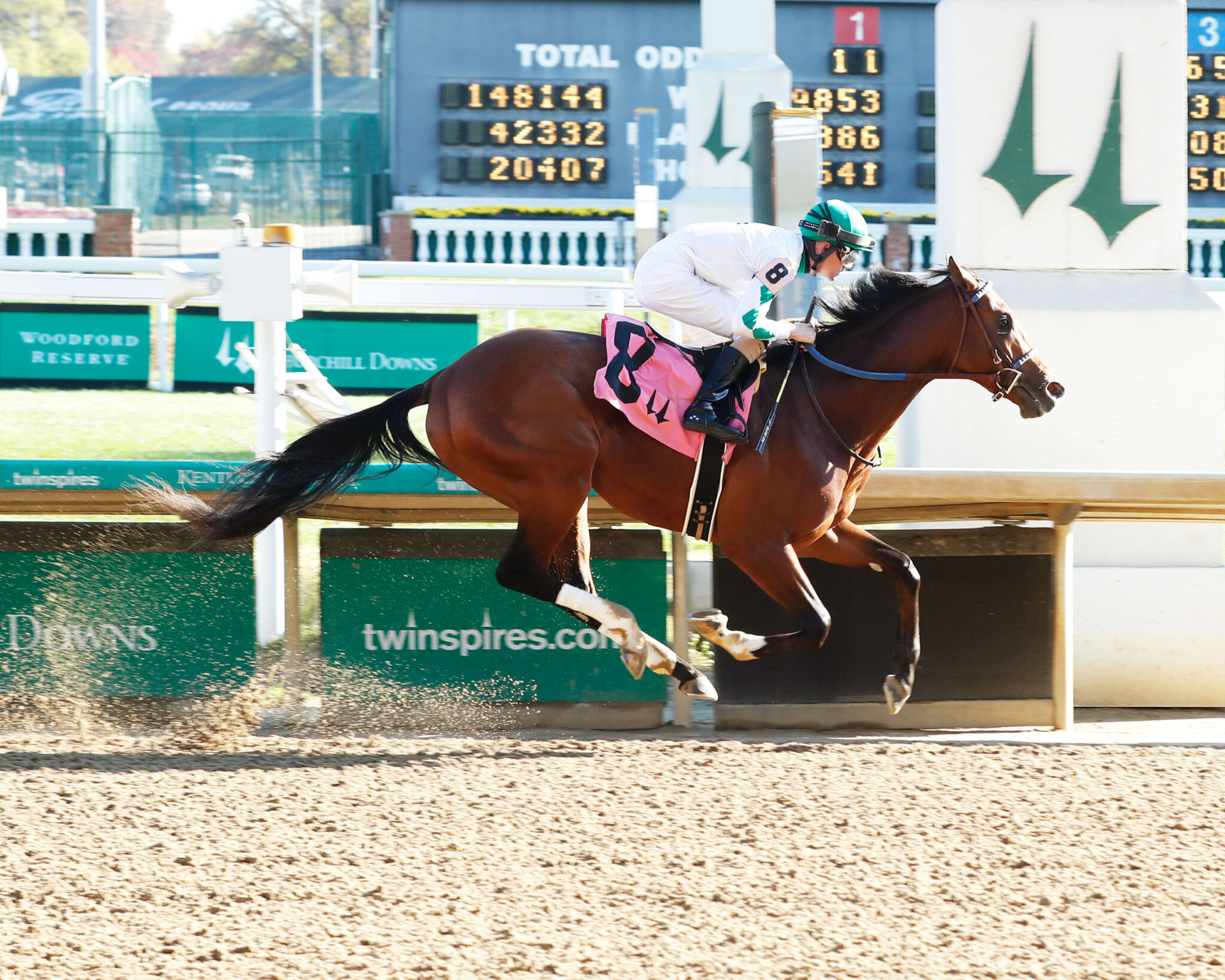 Study Guide 2024 Smarty Jones Stakes News Kentucky Derby