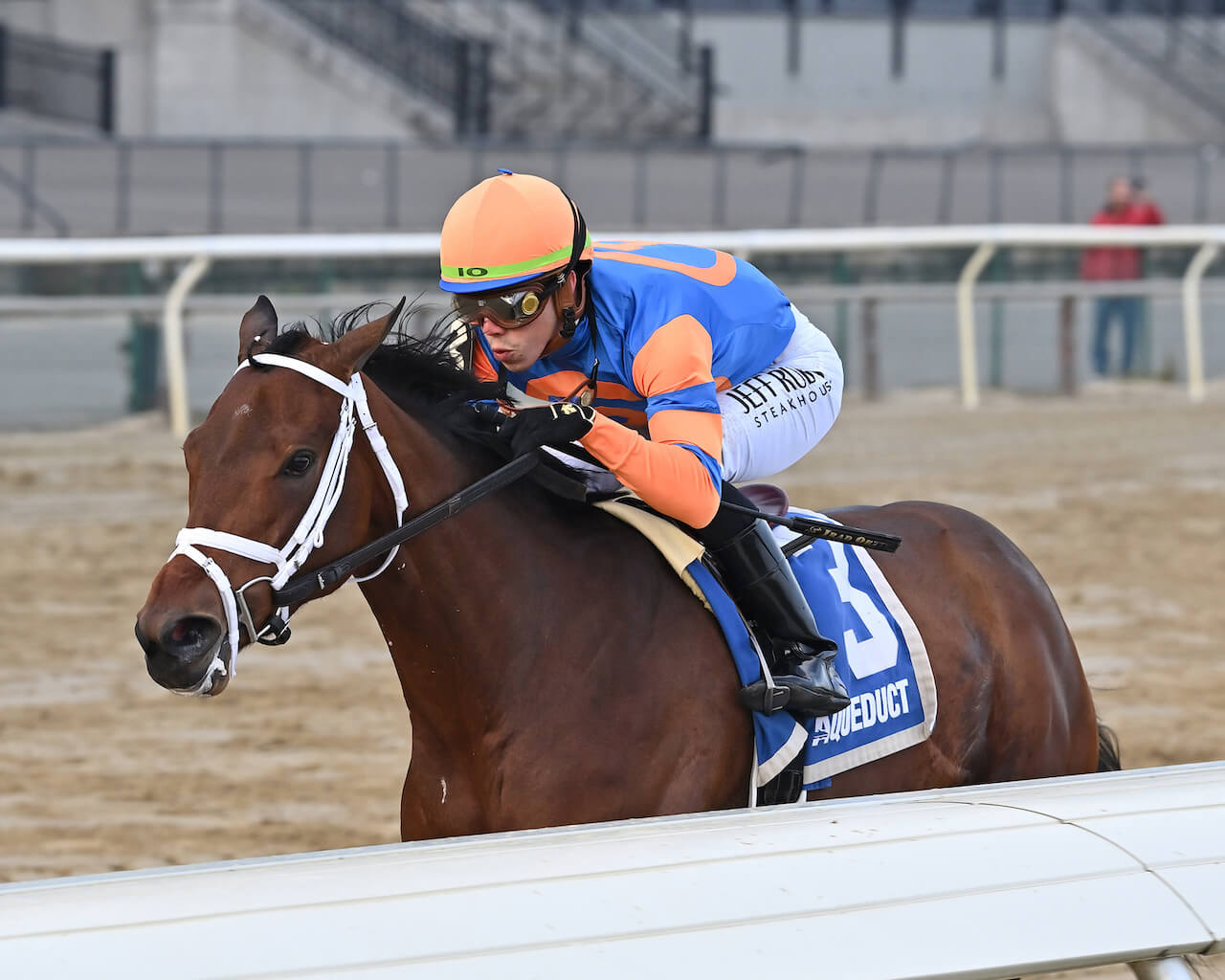 Life Talk in The Demoiselle (G2) at Aqueduct