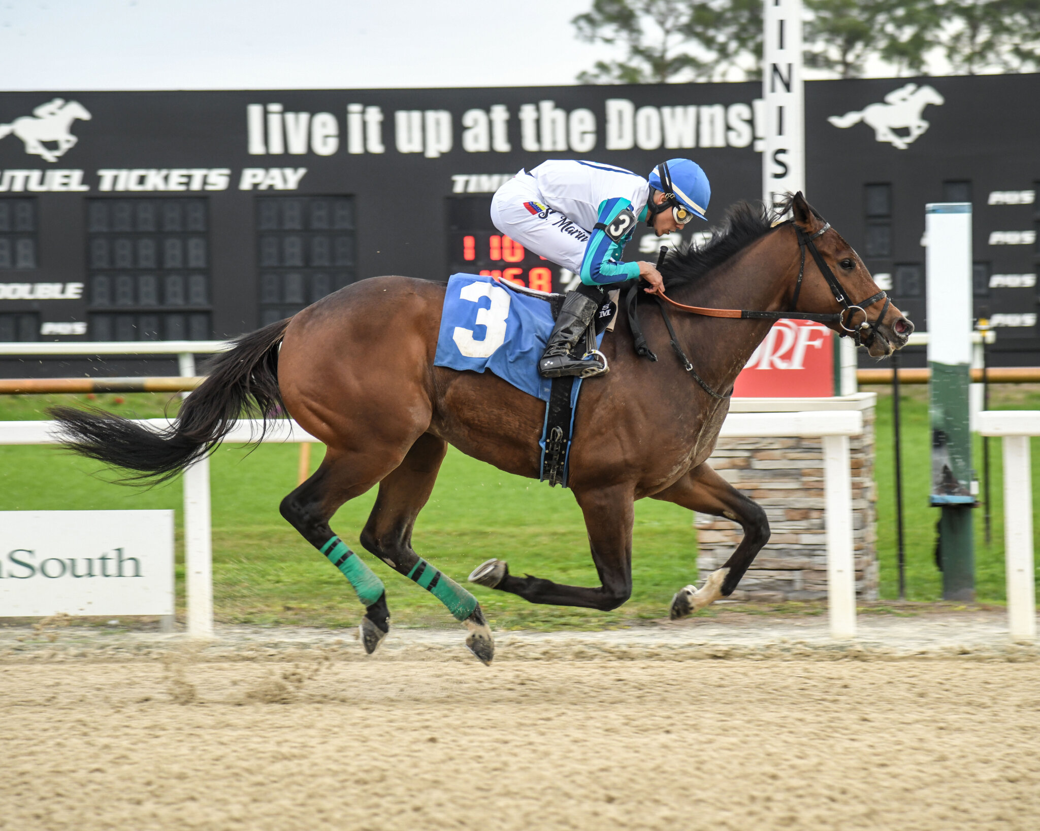 Expert Pick Of The Week: 2024 Perryville Stakes | News | Kentucky Derby