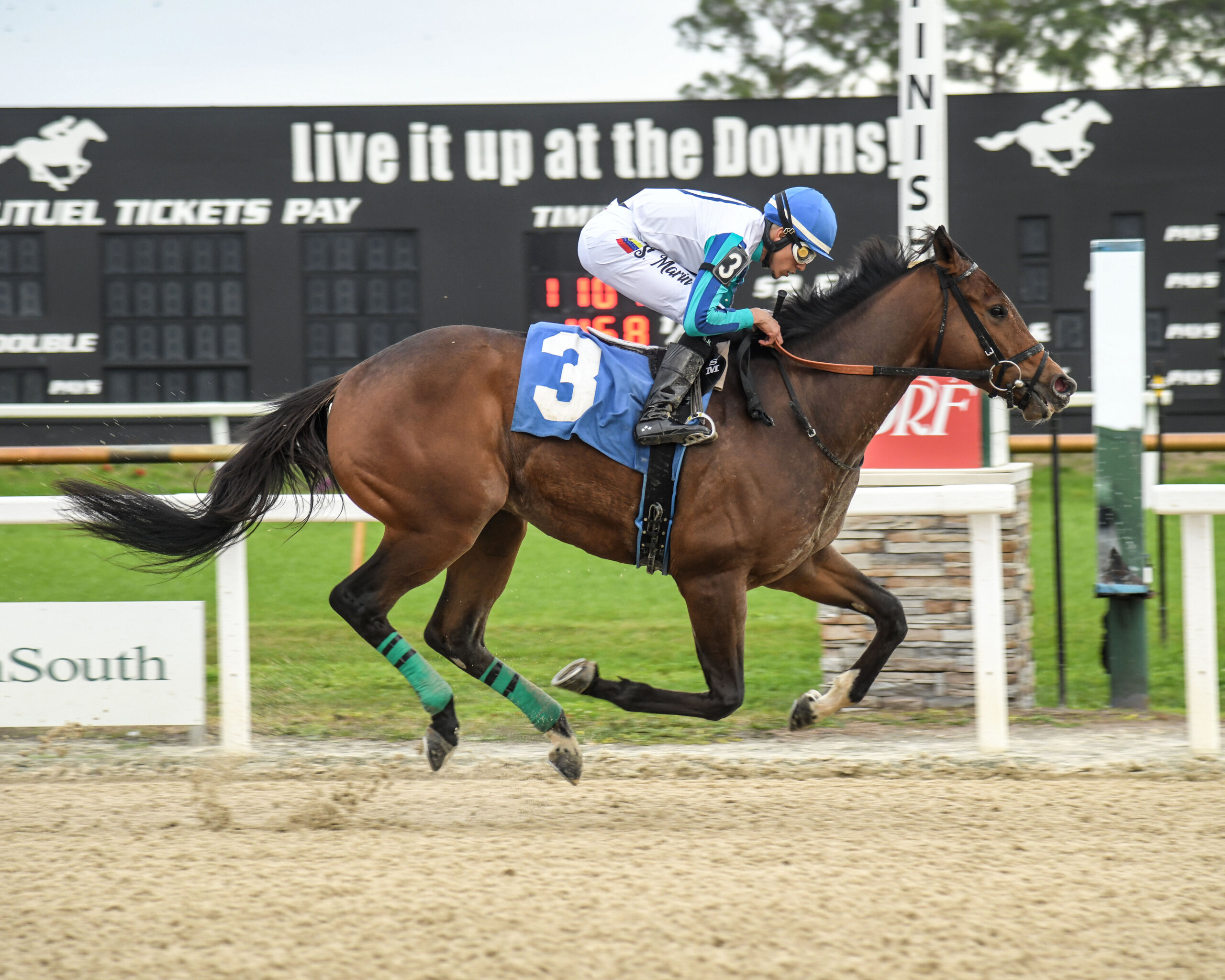 Book'em Danno wins the Pasco Stakes at Tampa Bay Downs