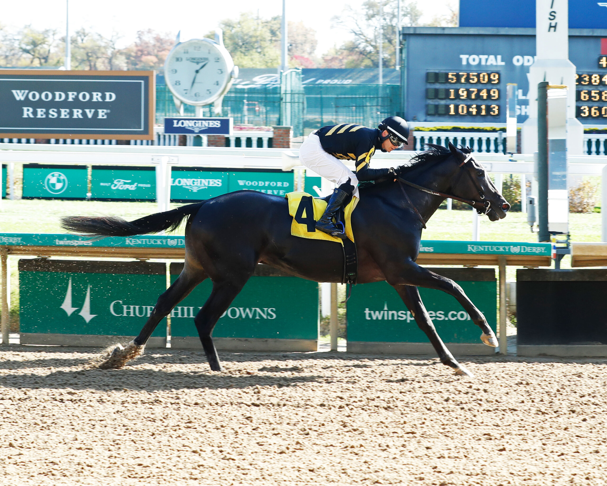 Tizzy Indy Horses Kentucky Derby