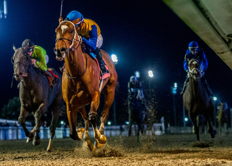 Study Guide: 2024 Lecomte Stakes | News | Kentucky Derby