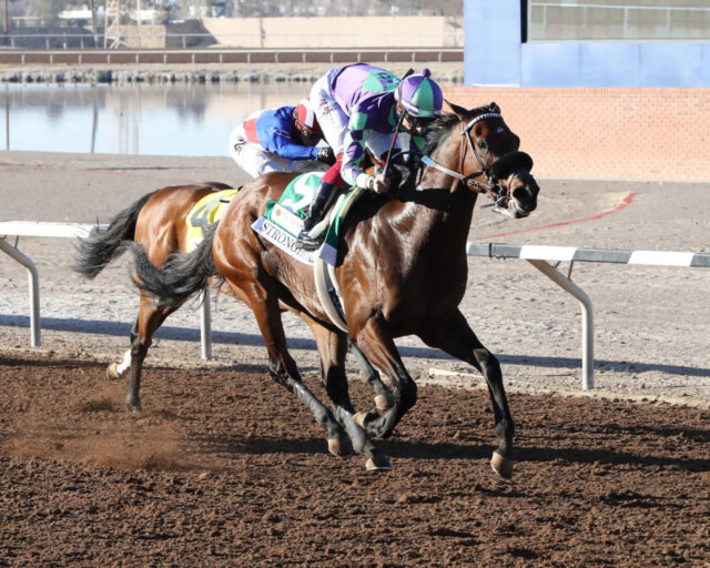 Kentucky Derby Horse Profile Stronghold News Kentucky Derby