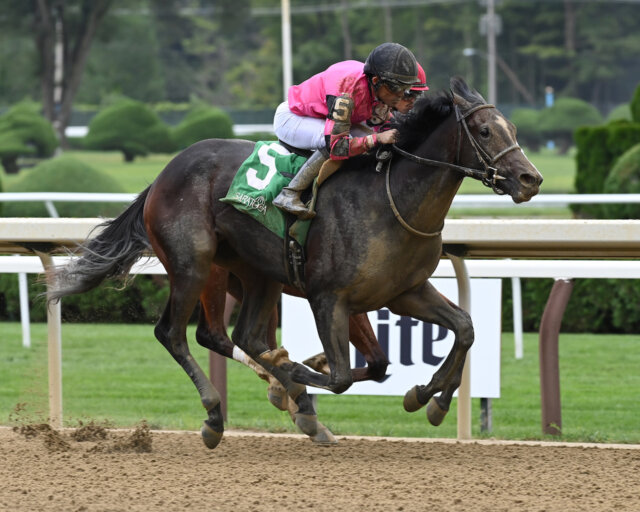 Study Guide: 2024 Virginia Derby | News | Kentucky Derby