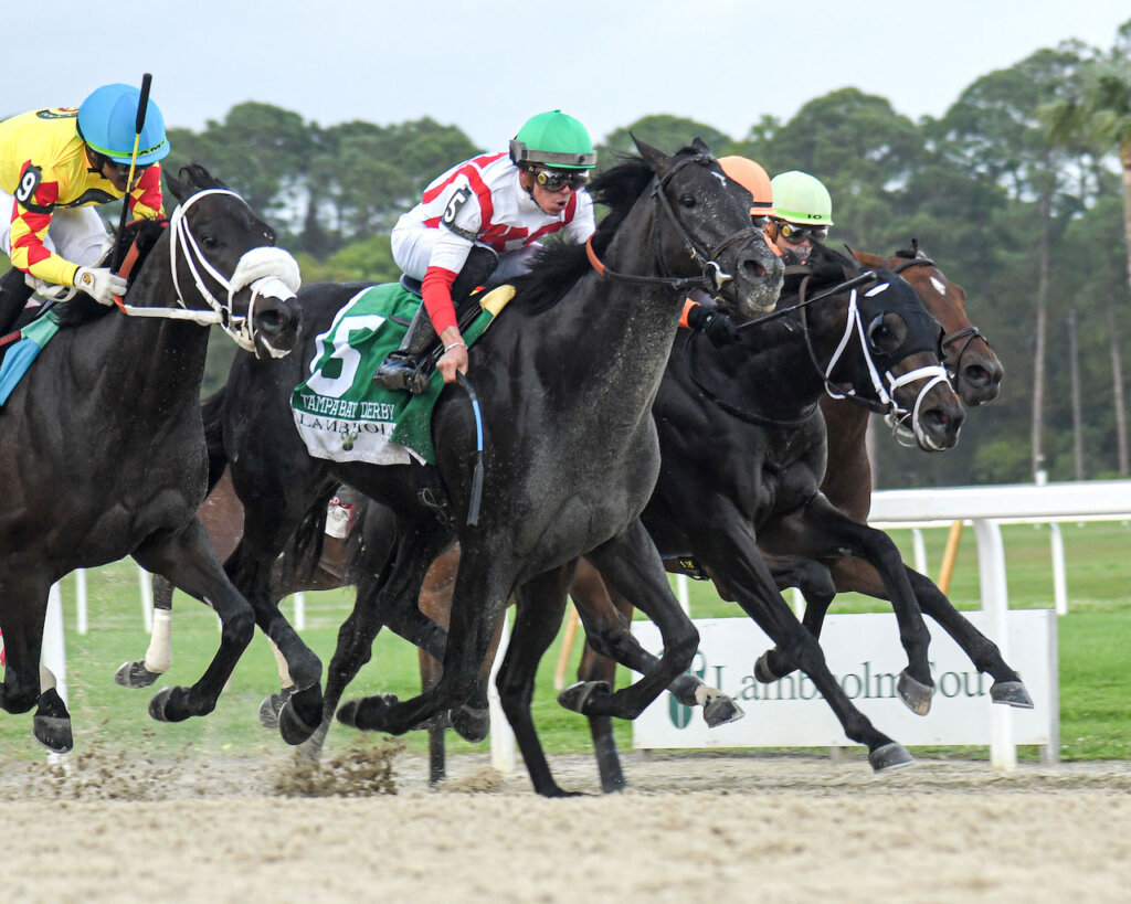 Takeaways from 2024 Tampa Bay Derby News Kentucky Derby