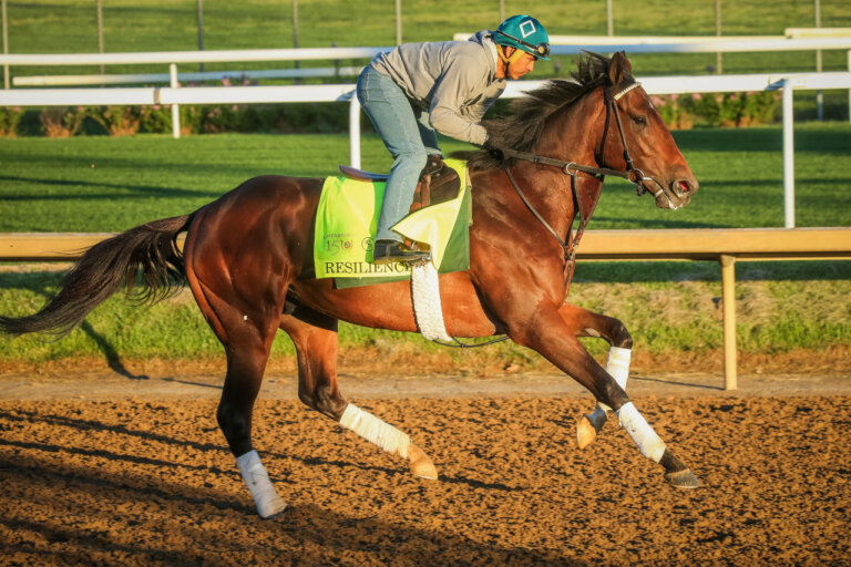 Tales from the Crib: Resilience | News | Kentucky Derby