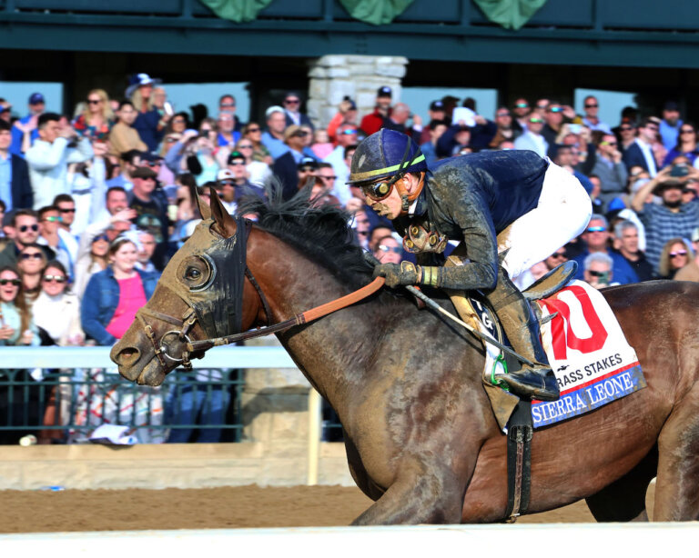 Travers Stakes 2024 Horses Maris Jackelyn