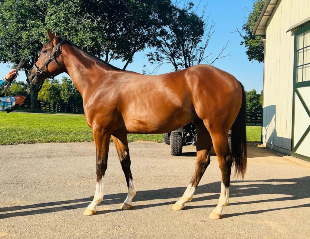 Tales from the Crib: Track Phantom | News | Kentucky Derby