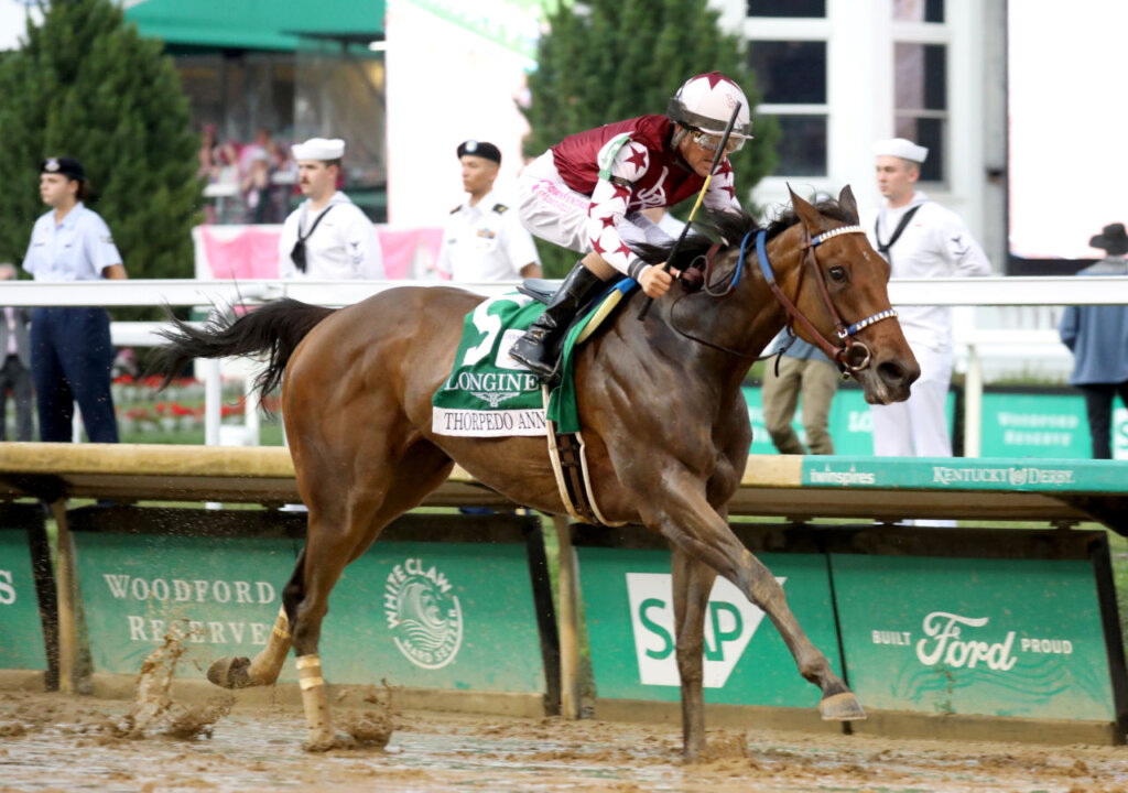 Study Guide 2024 Travers Stakes News Kentucky Derby