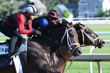 Protective (inside) and Mindframe work for the Belmont