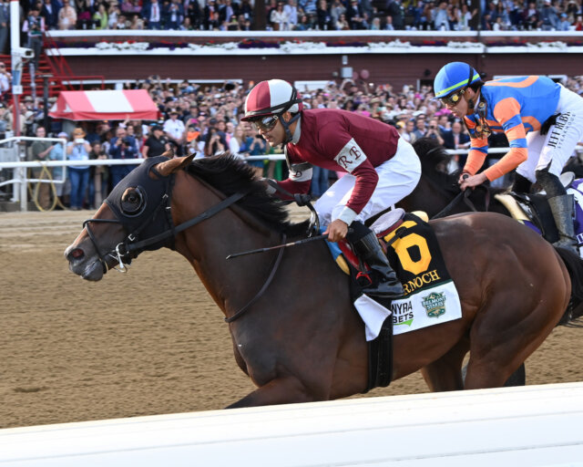 Study Guide: 2024 Haskell Stakes | News | Kentucky Derby