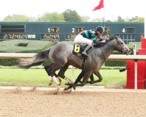 Gould's Gold wins at Oaklawn Park 