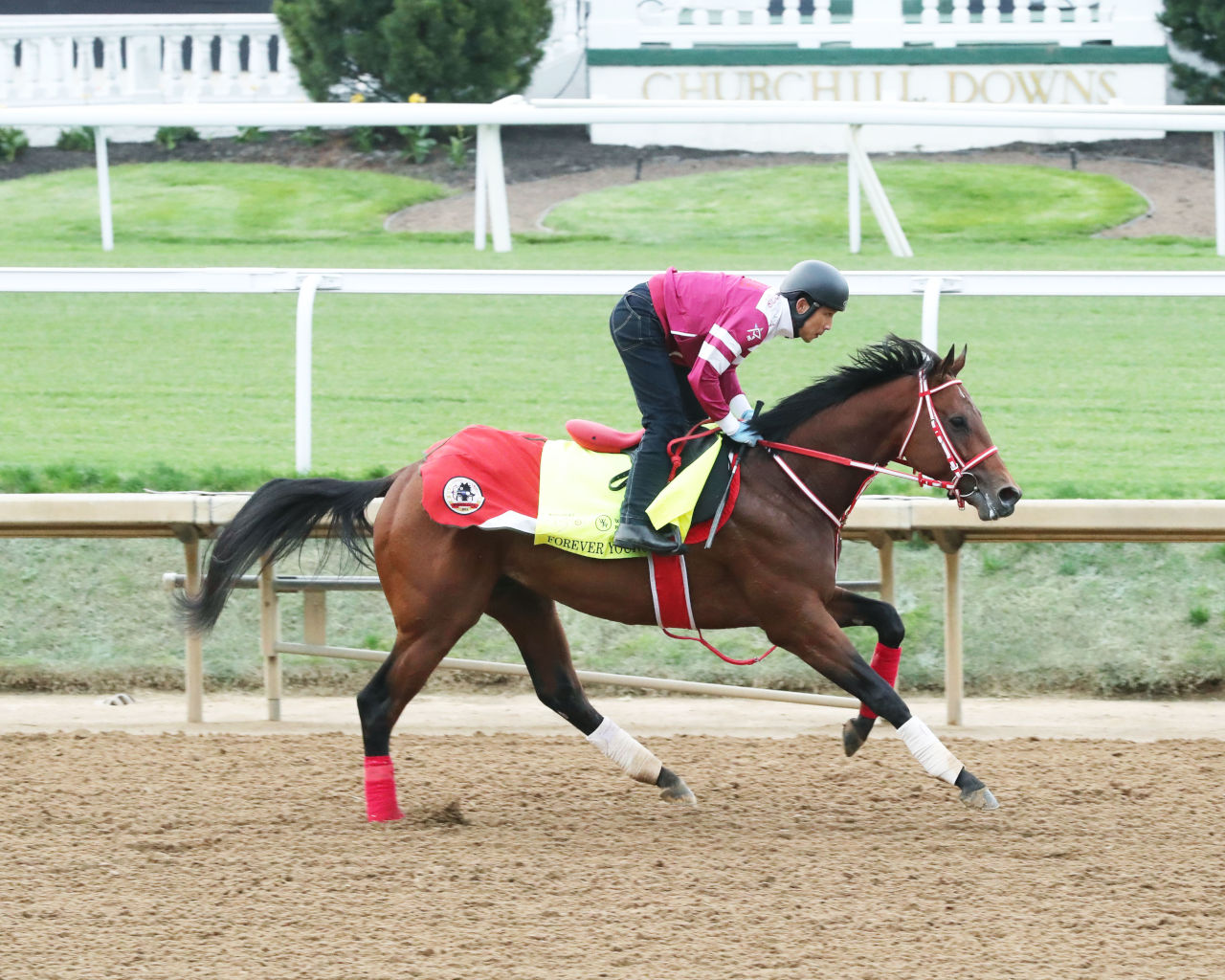 Forever Young shown training for the 2024 Kentucky Derby at Churchill Downs