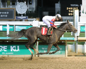 Just Basking wins at Churchill Downs