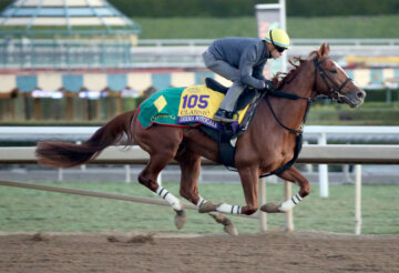 Derma Sotogake pictured training for the 2023 Breeders' Cup Classic