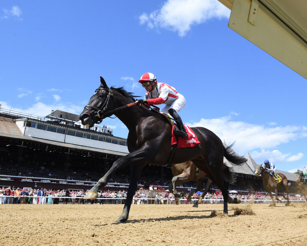 Expert Pick of the Week 2024 Pennsylvania Derby News Kentucky Derby