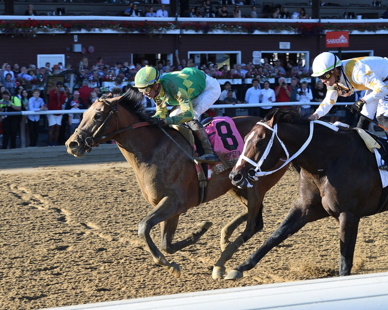 Chancer McPatrick (left) and Ferocious fought out the finish in the Hopeful