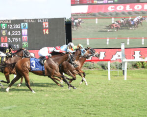 Echo Lane wins at Colonial Downs