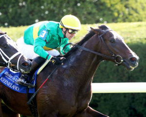 Frontline Warrior wins at Keeneland