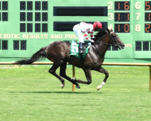 Giocoso wins at Ellis Park