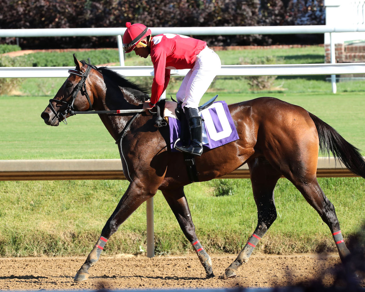 Jonathan's Way wins the Iroquois S. at Churchill Downs