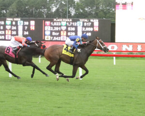 Massif wins at Colonial Downs