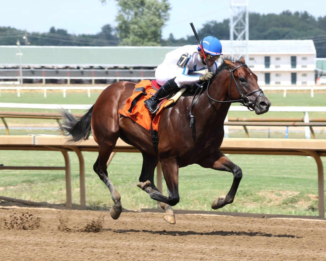 Owen Almighty winning the Ellis Park Juvenile S. at Ellis Park (Photo by Coady Media)