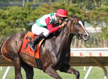 Social Fortress wins the Sorority Stakes at Monmouth Park