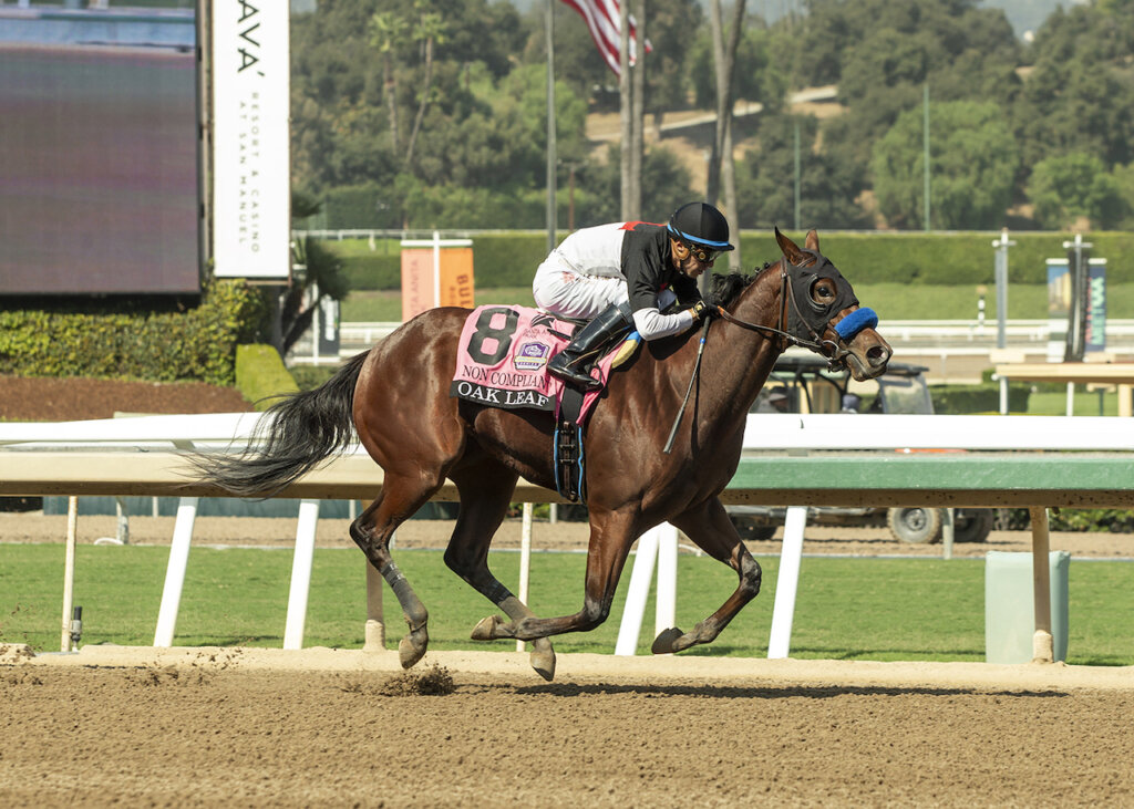 Non Compliant and jockey Juan Hernandez win the Oak Leaf S. (G2) at Santa Anita