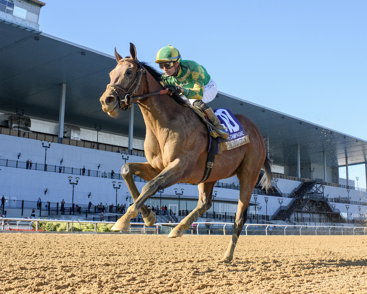 Chancer McPatrick wins the Champagne S.