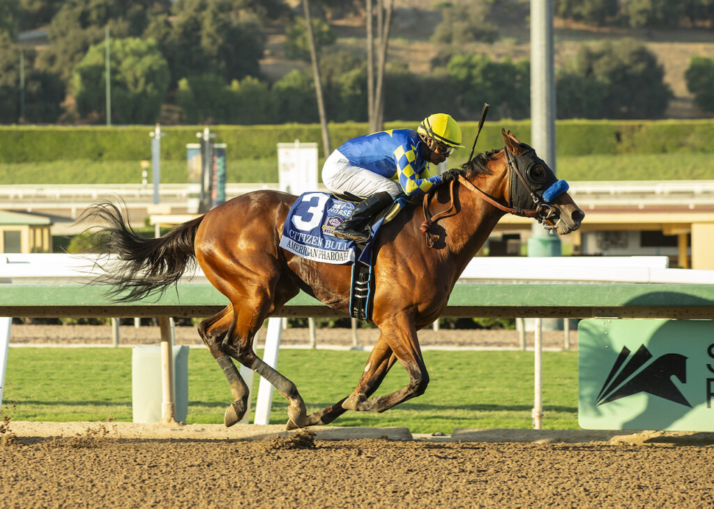 Citizen Bull wins American Pharoah S. (G1) at Santa Anita