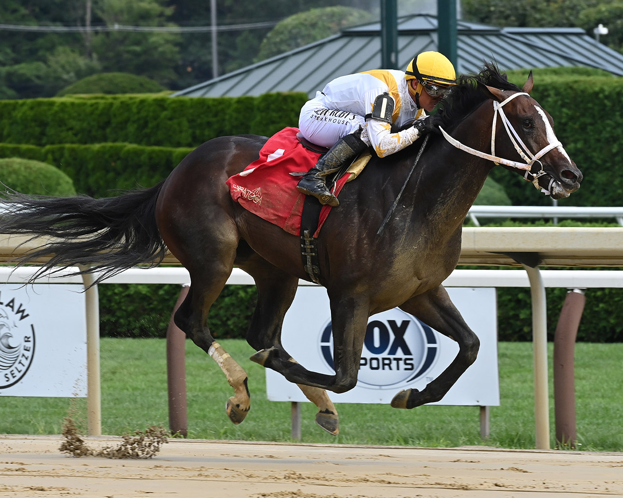 Ferocious winning his debut at Saratoga (Photo by Coglianese Photos)