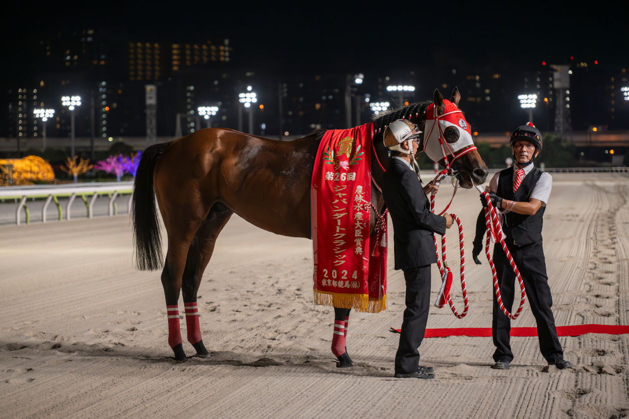 Forever Young sports the Japan Dirt Classic winner's sash 