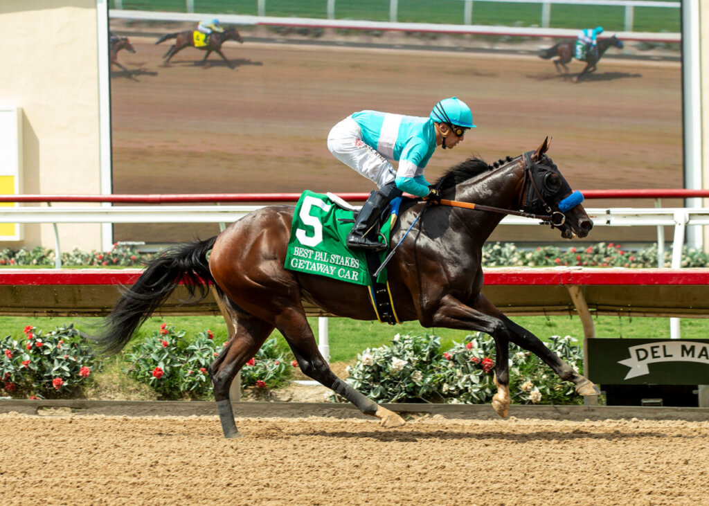 Getaway Car winning the Best Pal (G3) at Del Mar (Photo by Benoit Photo)