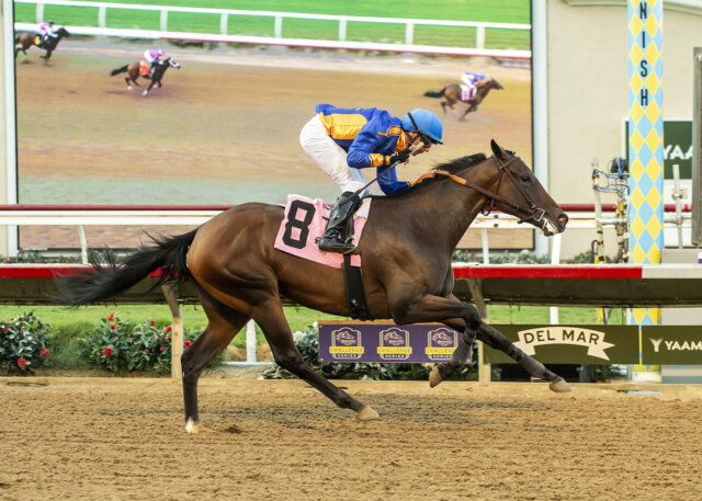 In the Air Tonight wins the Thoroughbred Association S.at Del Mar