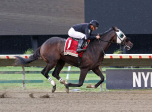 J J Zo Zo wins the Smoke Glacken Stakes at Monmouth Park