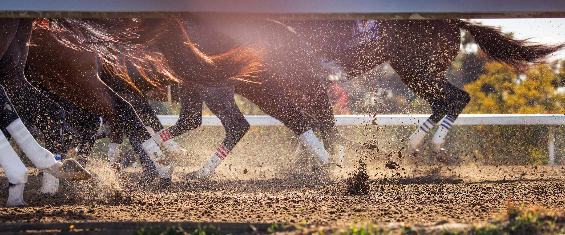 Keeneland Fall Meet scenic