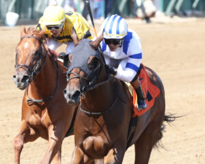 Smokin Wicked comes in second to Politicallycorrect at Churchill Downs