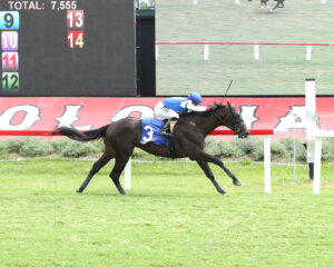 Ready for Peace wins at Colonial Downs