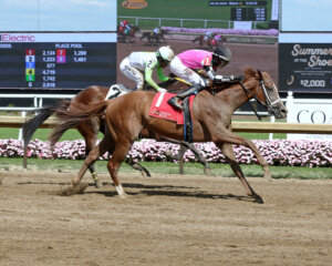 Saratoga Cruiser wins at Horshoe Indianapolis