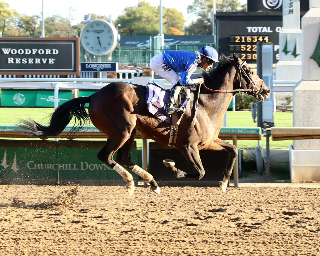 Sovereignty Horses Kentucky Derby