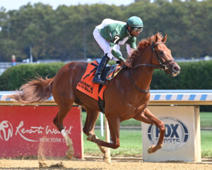 Vekoma Rides wins at Belmont at the Big A